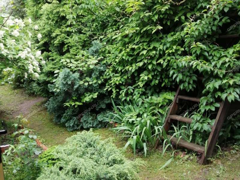 дом на Знатная СНТ "Звезда-2"